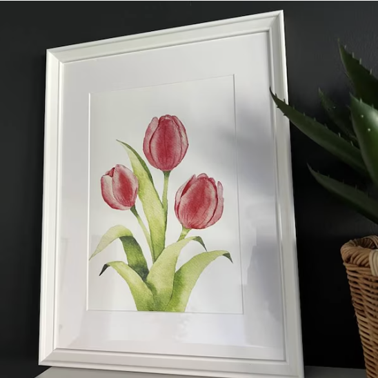 Watercolour tulip print in a white frame — buyer photo